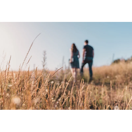 Vzťah na dosah ruky